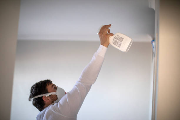 Best Mold Remediation for Schools in Brass Castle, NJ