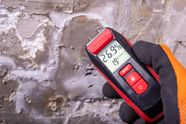 Best Bathroom Mold Remediation in Brass Castle, NJ